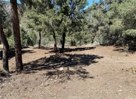 2217 Saint Bernard Drive