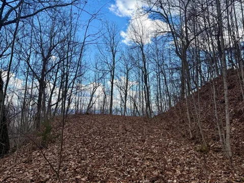 LYLE MOUNTAIN TRAIL