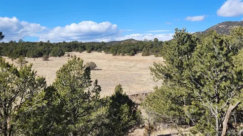 311 Kit Carson Trail