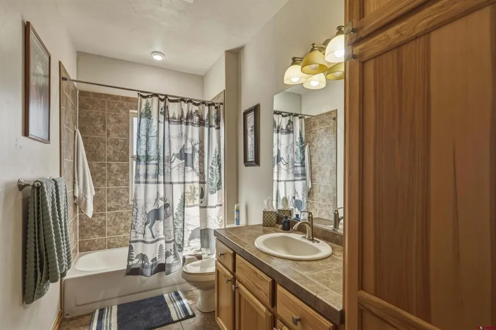 109 Ace Court #101 Pagosa Springs, CO 81147