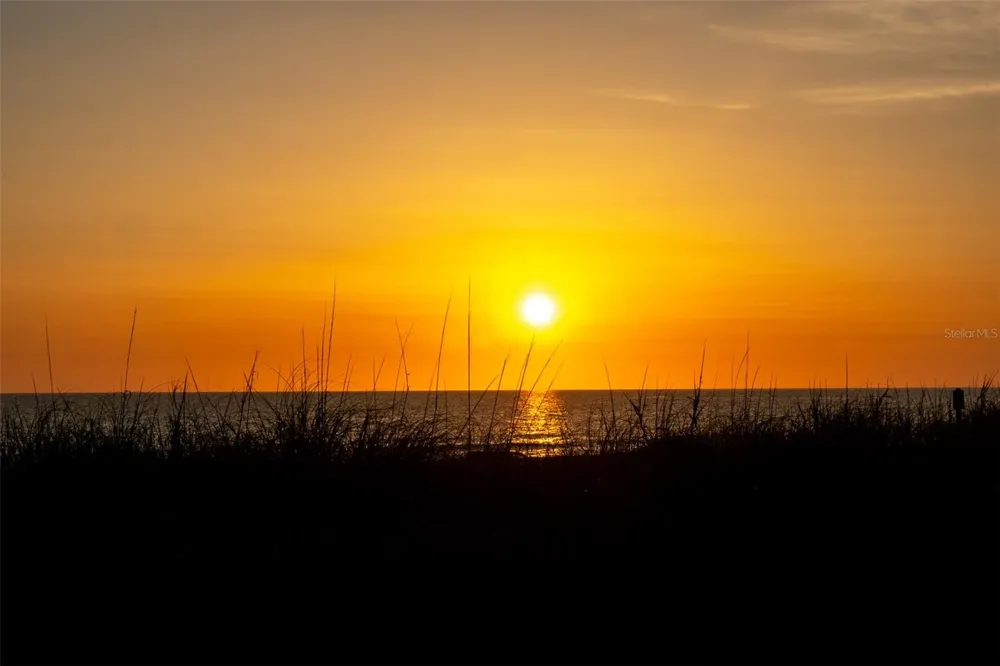 1817 HIGHWAY 98 Mexico Beach, FL 32456
