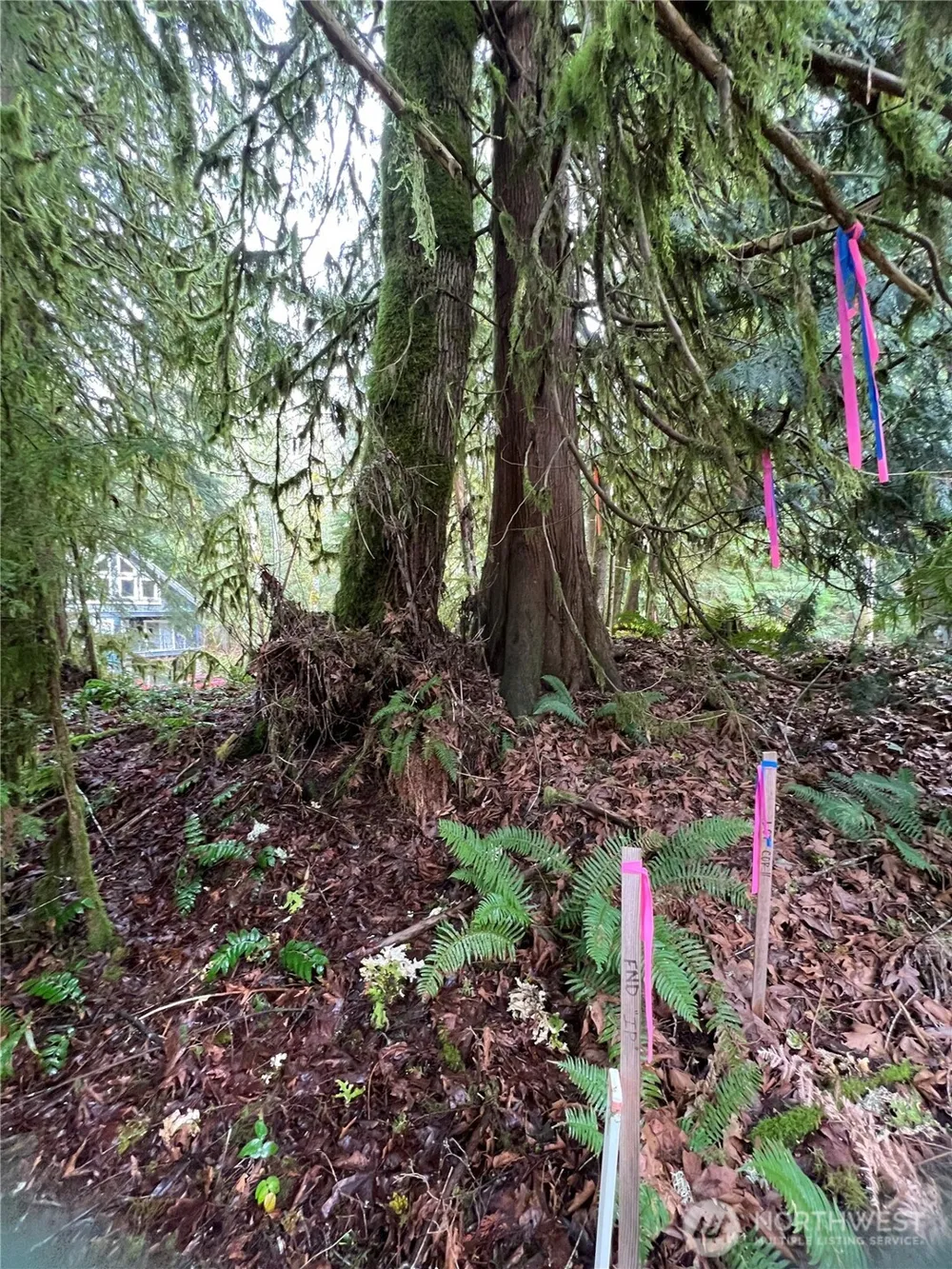 15026 Iceberg Road Glacier, WA 98244