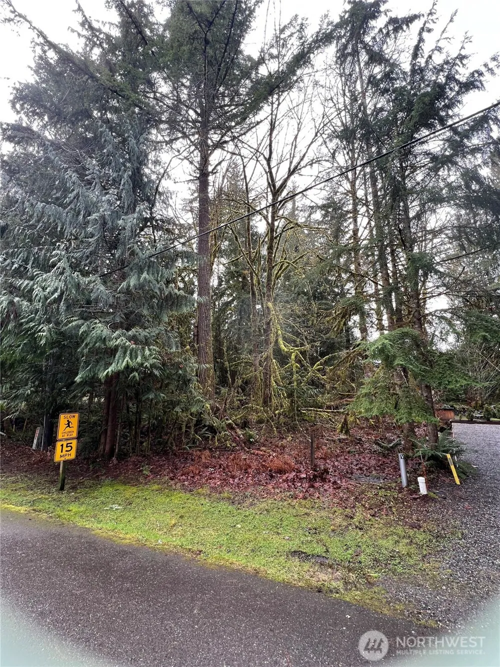 15026 Iceberg Road Glacier, WA 98244