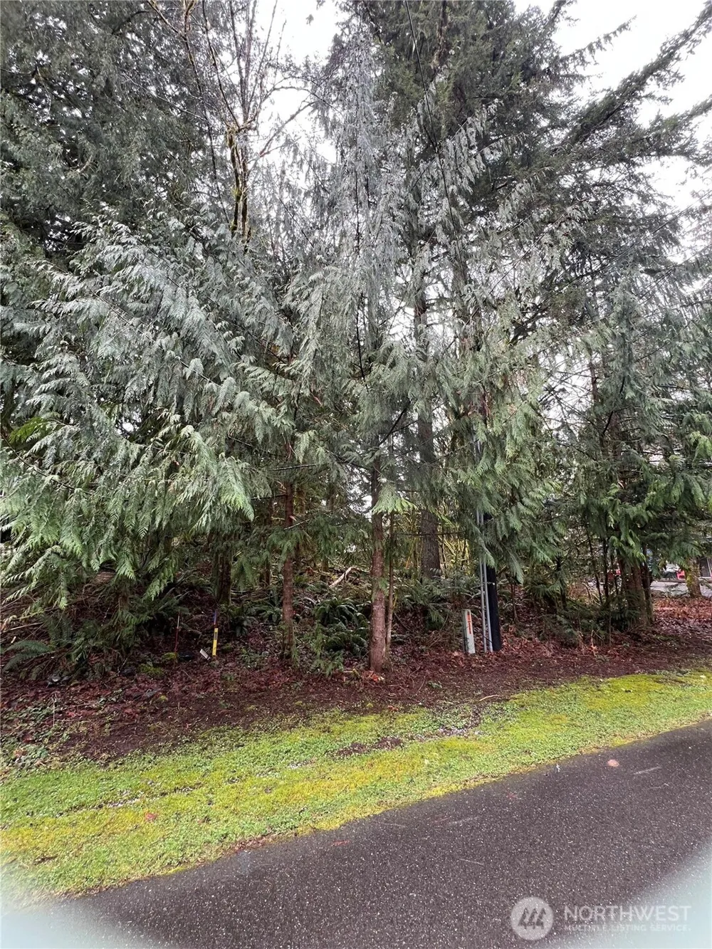 15026 Iceberg Road Glacier, WA 98244