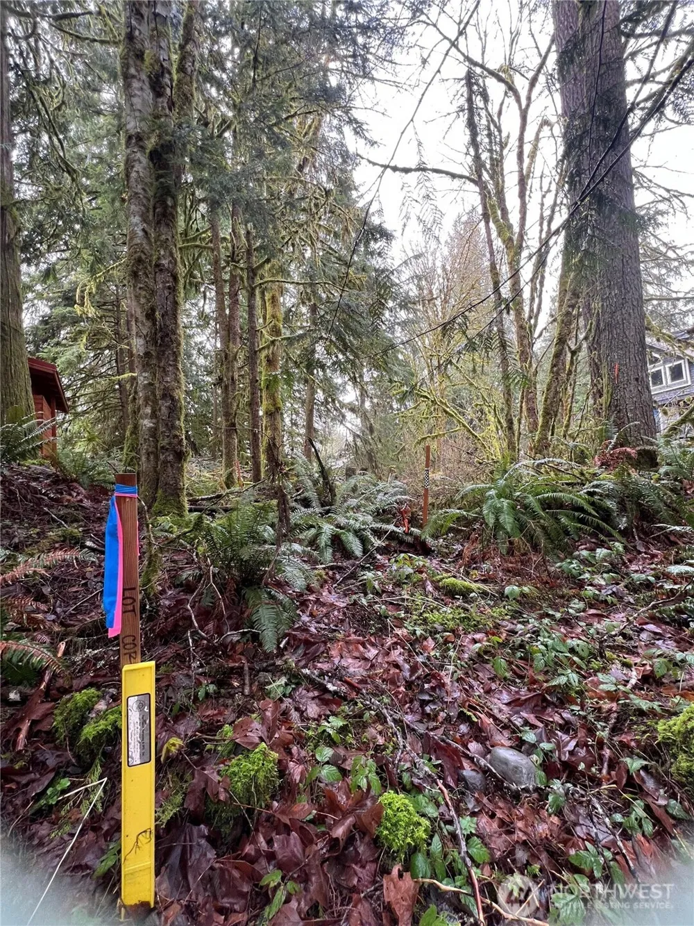 15026 Iceberg Road Glacier, WA 98244