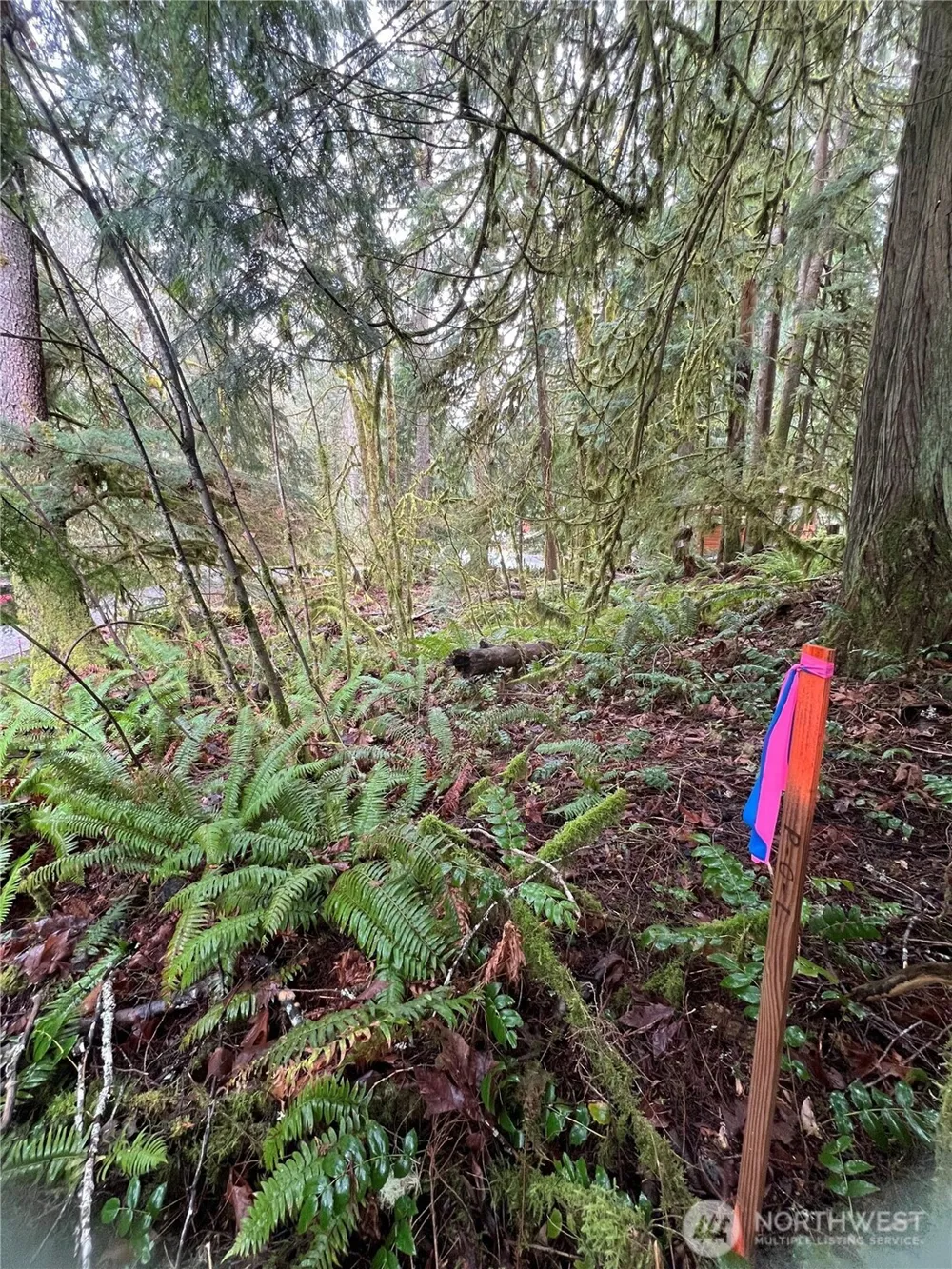 15026 Iceberg Road Glacier, WA 98244