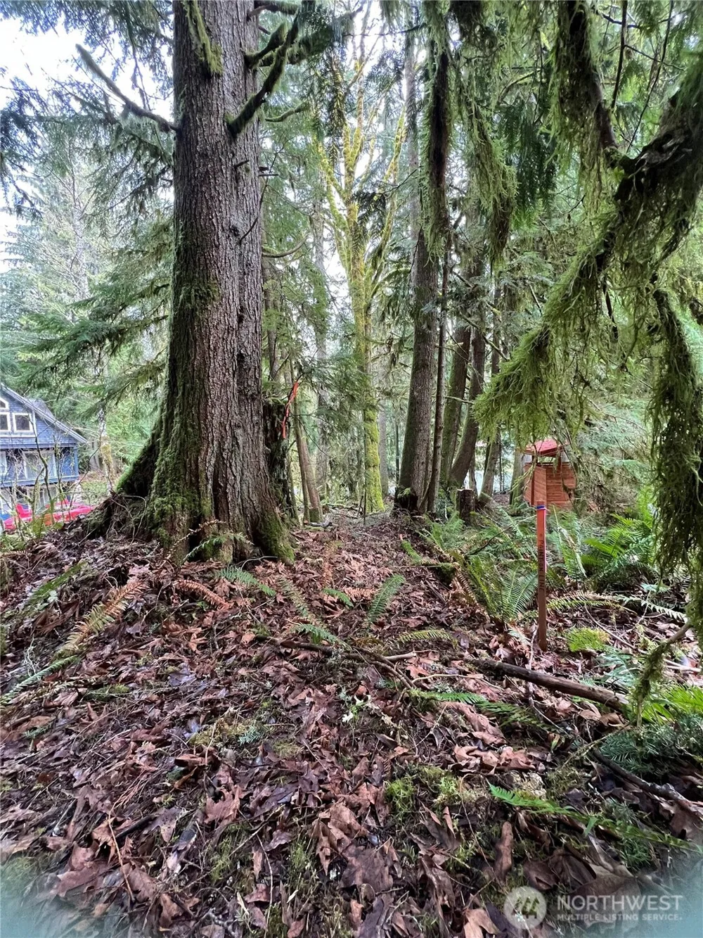 15026 Iceberg Road Glacier, WA 98244