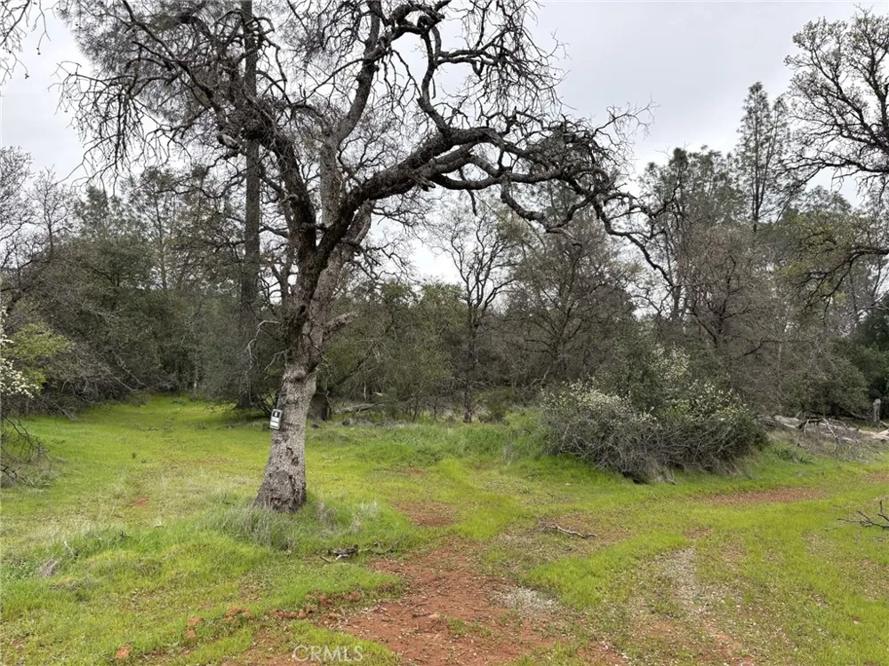 Highlands Boulevard Oroville, CA 95966