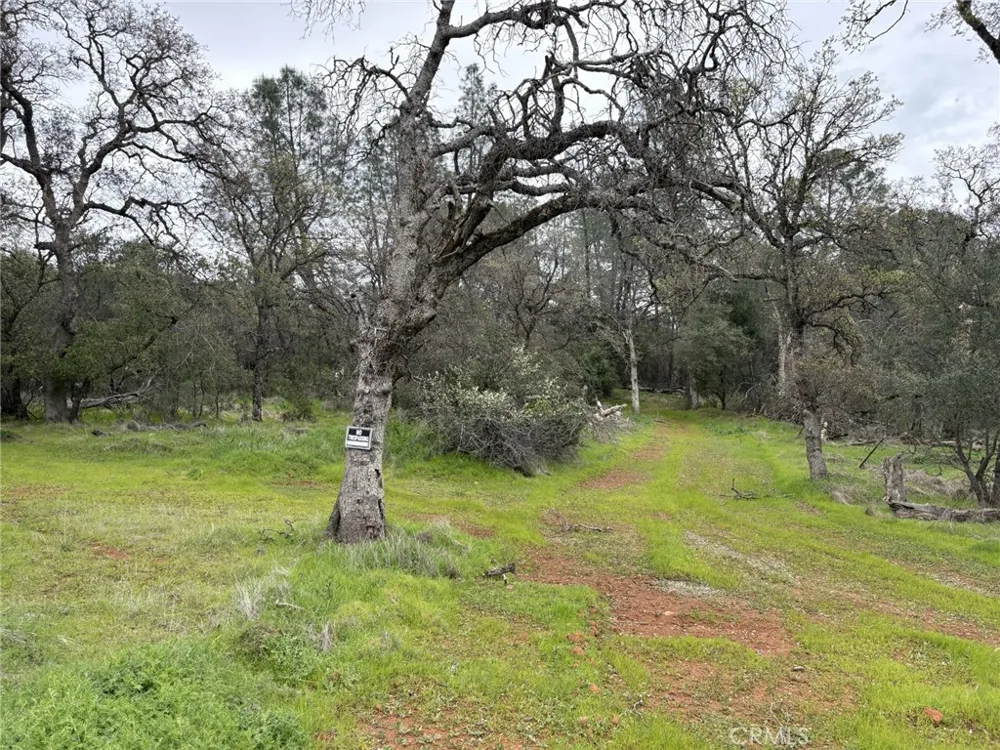 Highlands Boulevard Oroville, CA 95966