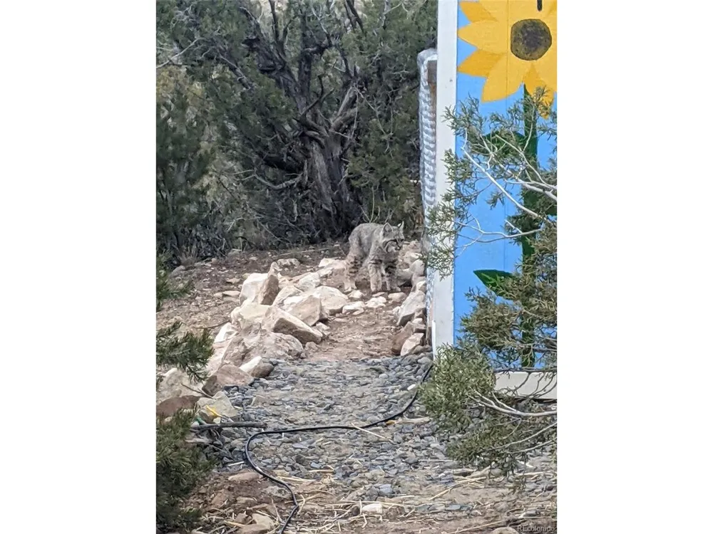 15086 45 1/2 ROAD De Beque, CO 81643