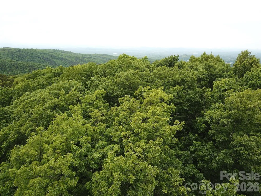0 Hildebran Mountain Avenue Connelly Springs, NC 28612