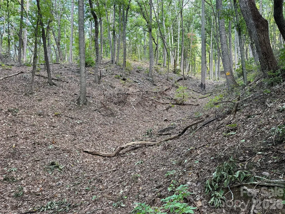 0 Hildebran Mountain Avenue Connelly Springs, NC 28612