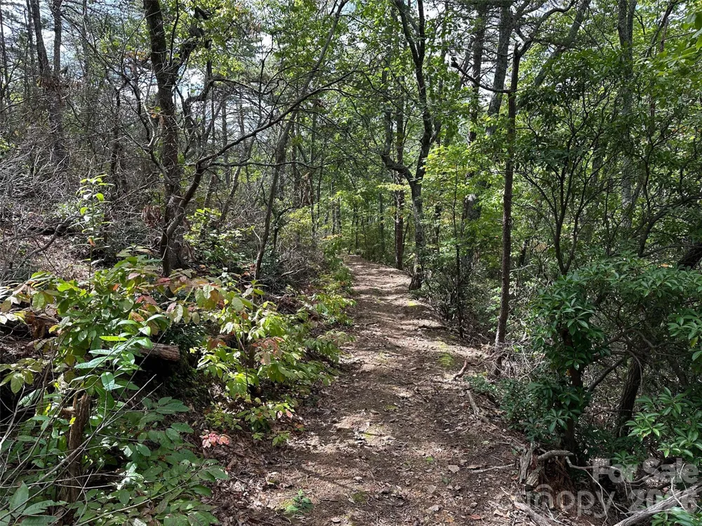 0 Hildebran Mountain Avenue Connelly Springs, NC 28612