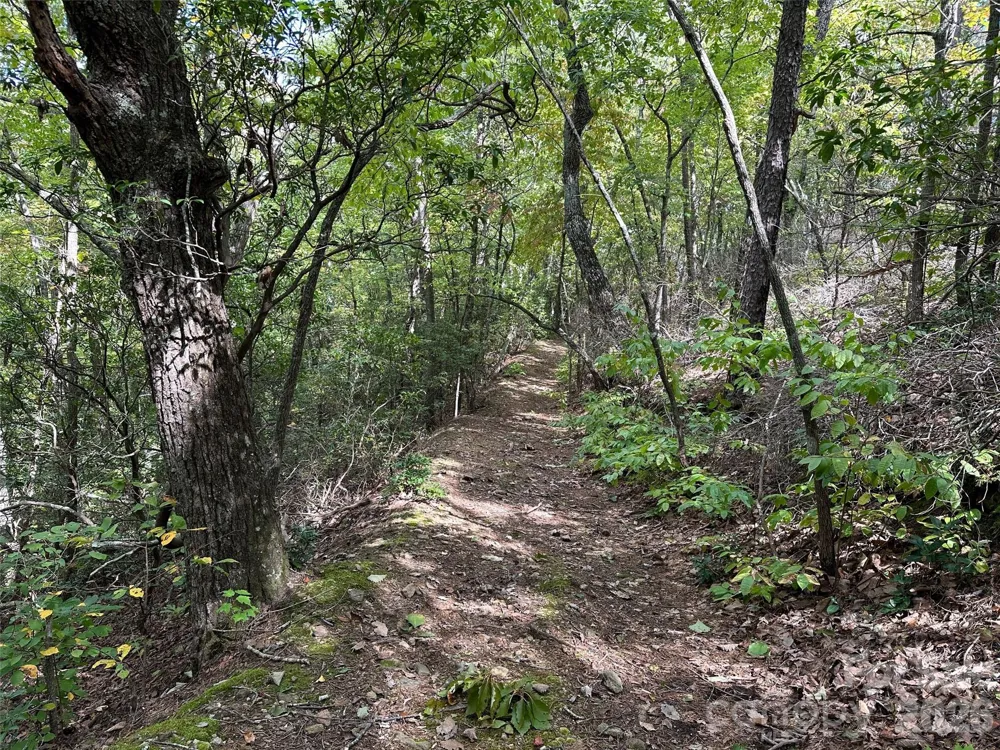 0 Hildebran Mountain Avenue Connelly Springs, NC 28612