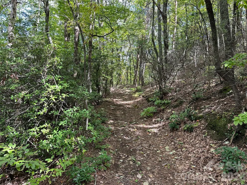0 Hildebran Mountain Avenue Connelly Springs, NC 28612