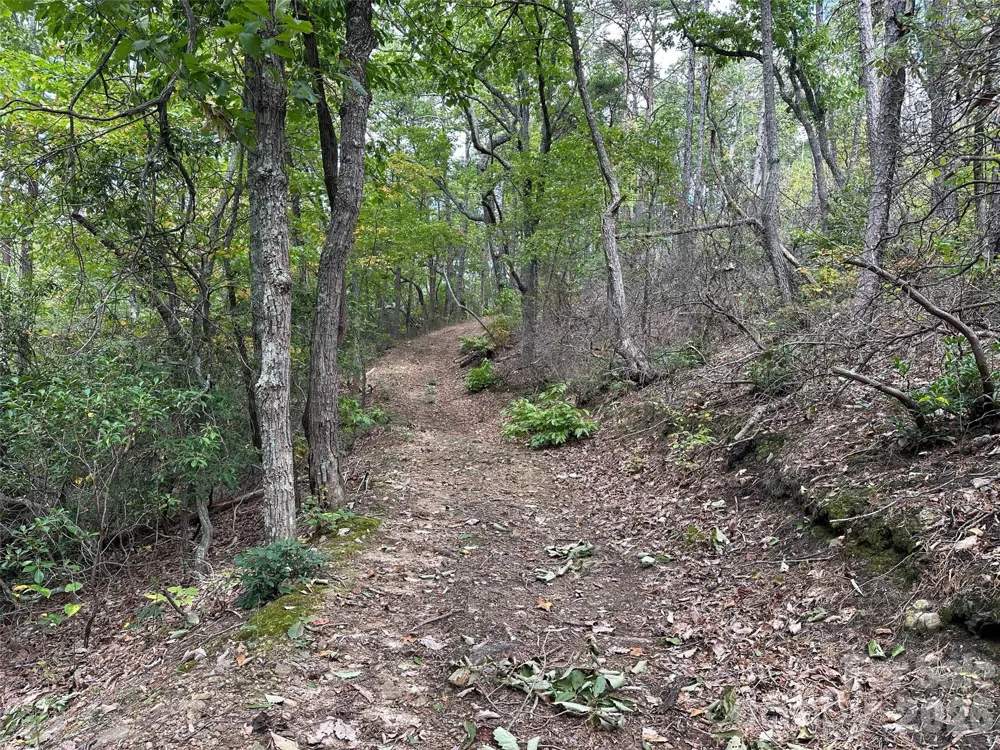 0 Hildebran Mountain Avenue Connelly Springs, NC 28612
