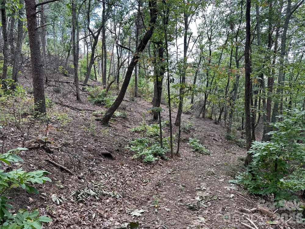 0 Hildebran Mountain Avenue Connelly Springs, NC 28612