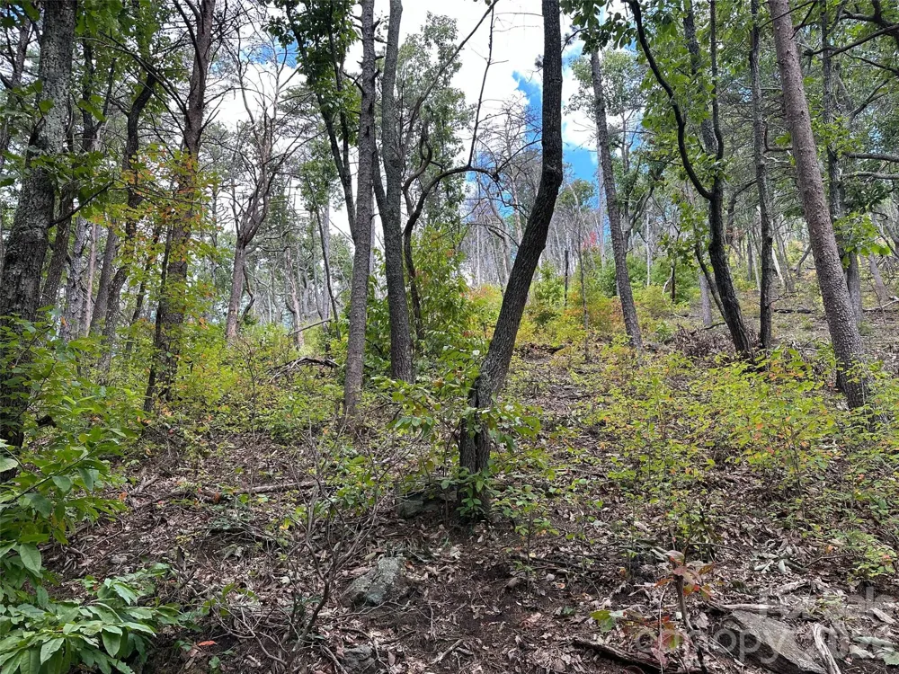 0 Hildebran Mountain Avenue Connelly Springs, NC 28612
