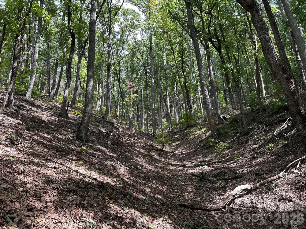 0 Hildebran Mountain Avenue Connelly Springs, NC 28612