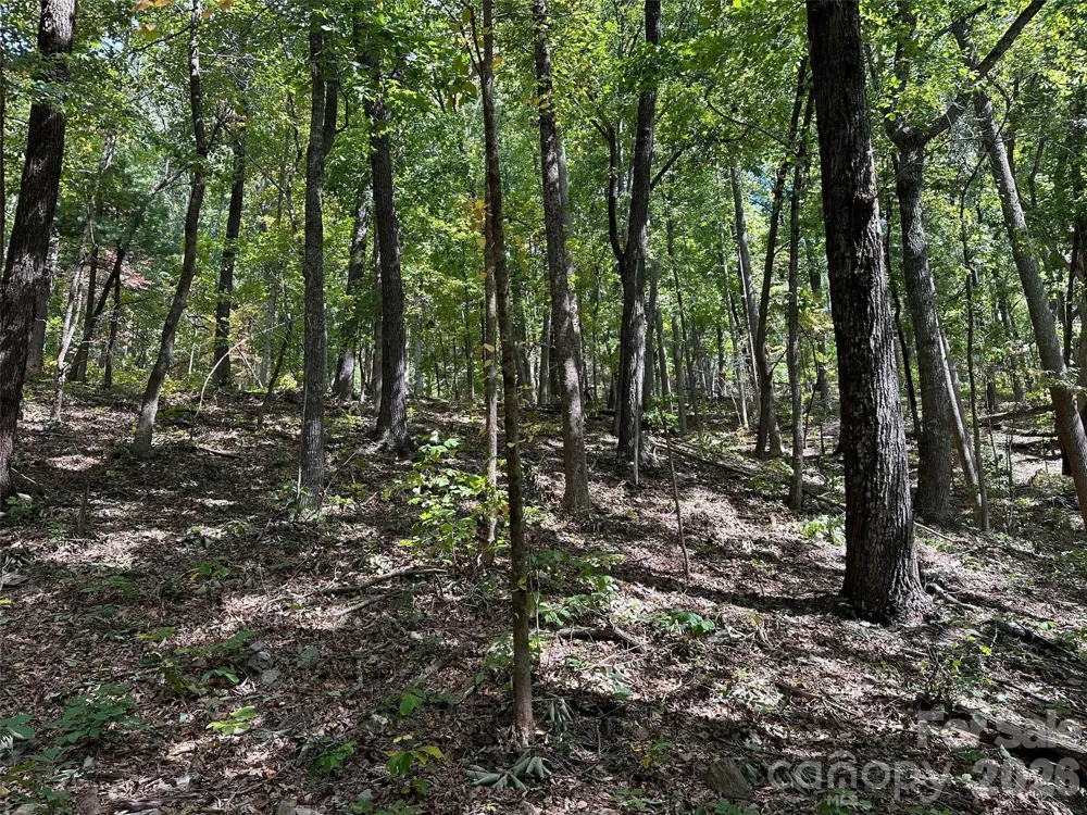0 Hildebran Mountain Avenue Connelly Springs, NC 28612