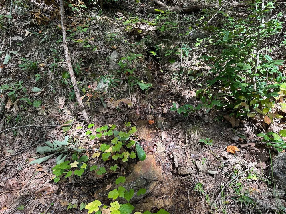 0 Hildebran Mountain Avenue Connelly Springs, NC 28612