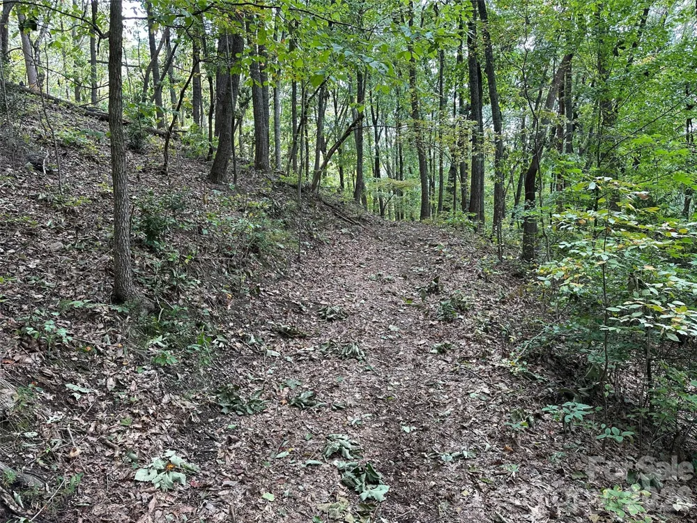 0 Hildebran Mountain Avenue Connelly Springs, NC 28612