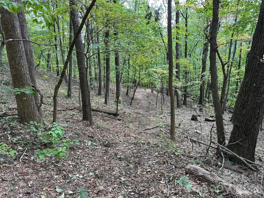 0 Hildebran Mountain Avenue Connelly Springs, NC 28612