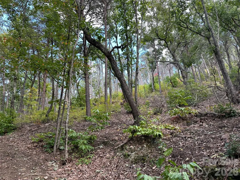 0 Hildebran Mountain Avenue Connelly Springs, NC 28612