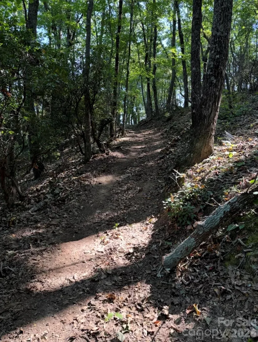 0 Hildebran Mountain Avenue Connelly Springs, NC 28612