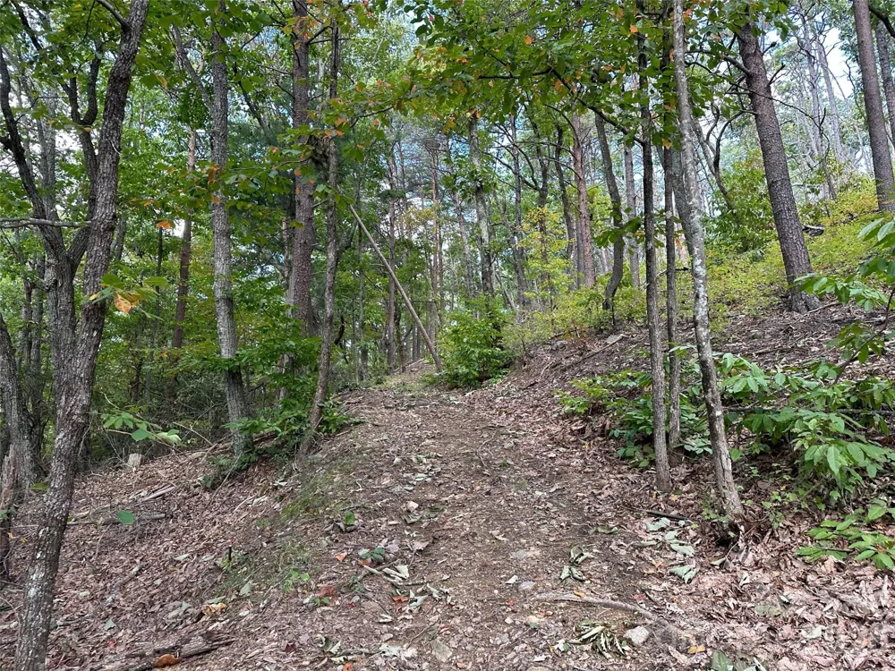0 Hildebran Mountain Avenue Connelly Springs, NC 28612