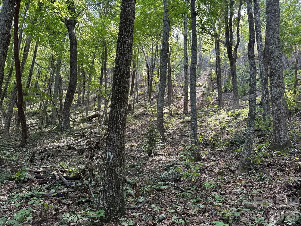 0 Hildebran Mountain Avenue Connelly Springs, NC 28612