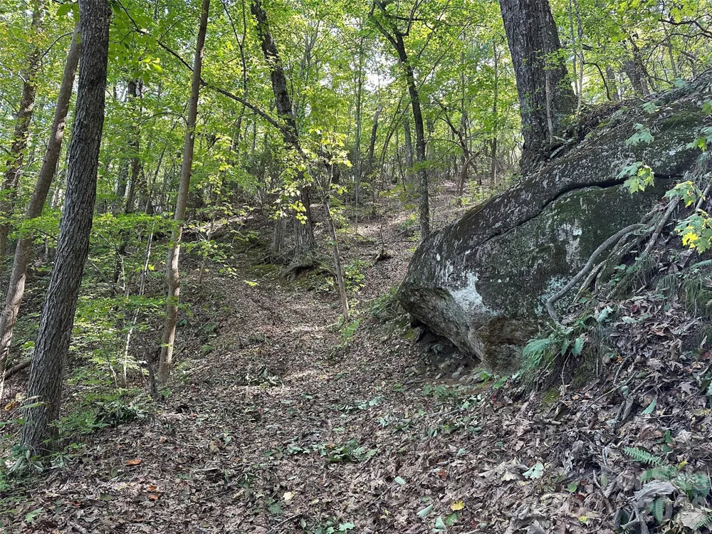 0 Hildebran Mountain Avenue Connelly Springs, NC 28612