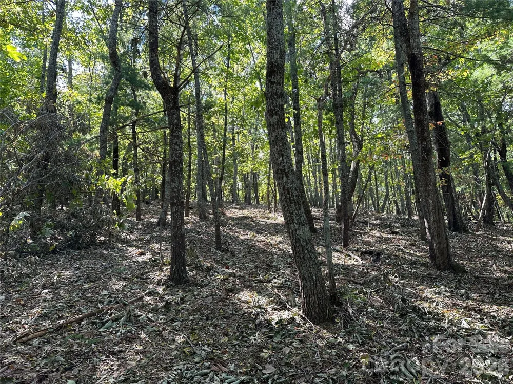 0 Hildebran Mountain Avenue Connelly Springs, NC 28612