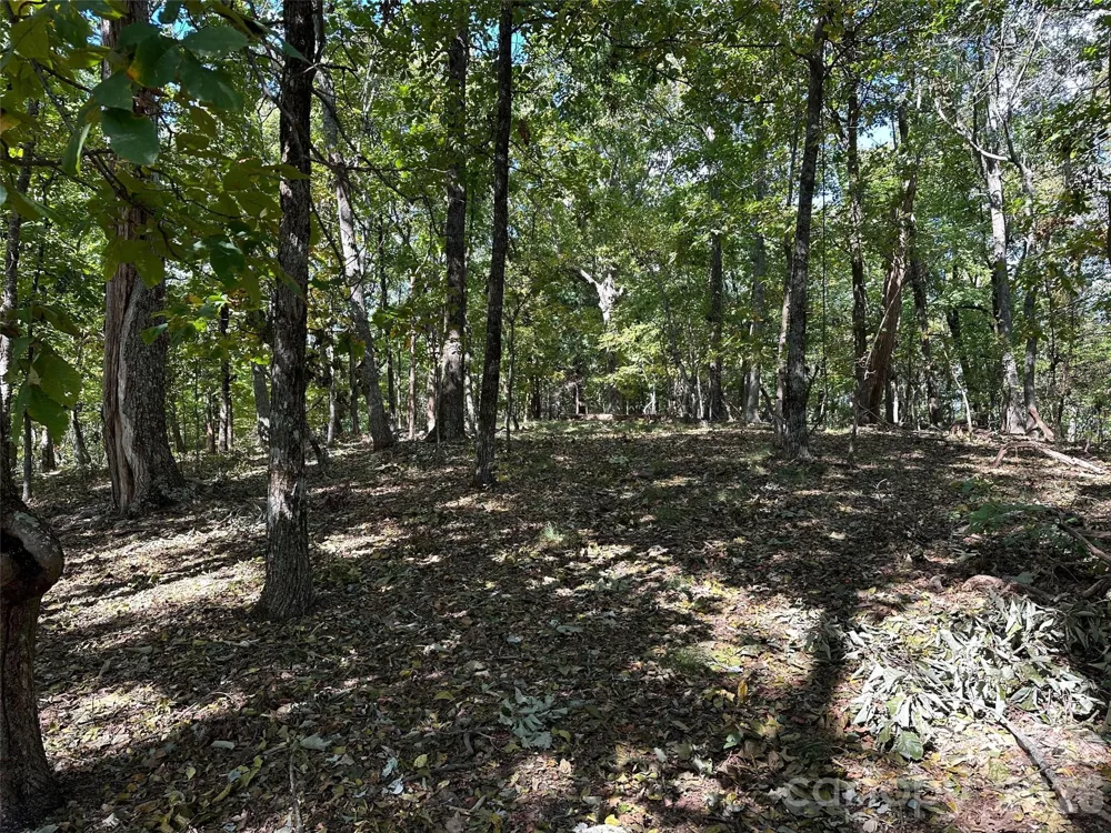 0 Hildebran Mountain Avenue Connelly Springs, NC 28612