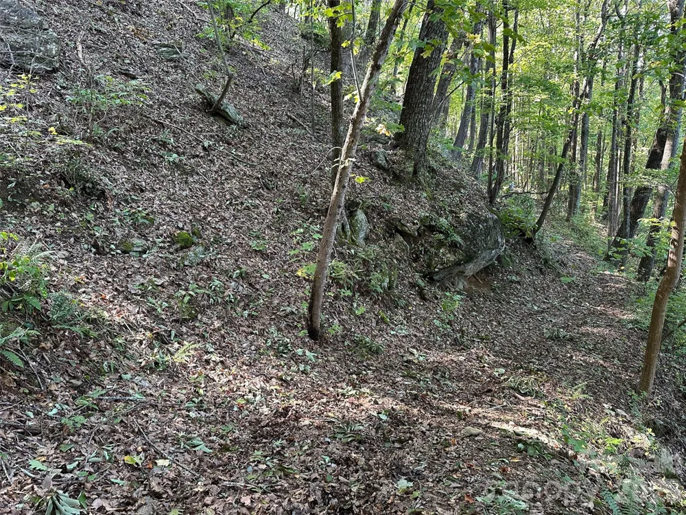 0 Hildebran Mountain Avenue Connelly Springs, NC 28612