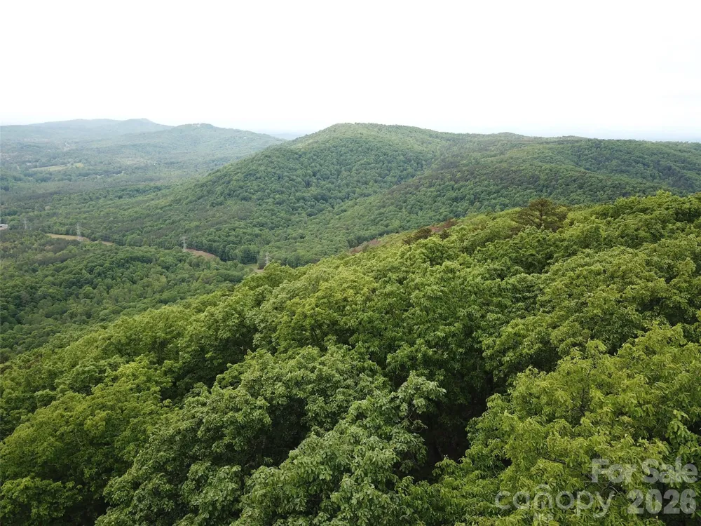 0 Hildebran Mountain Avenue Connelly Springs, NC 28612