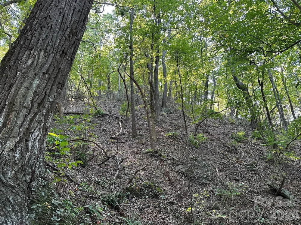 0 Hildebran Mountain Avenue Connelly Springs, NC 28612