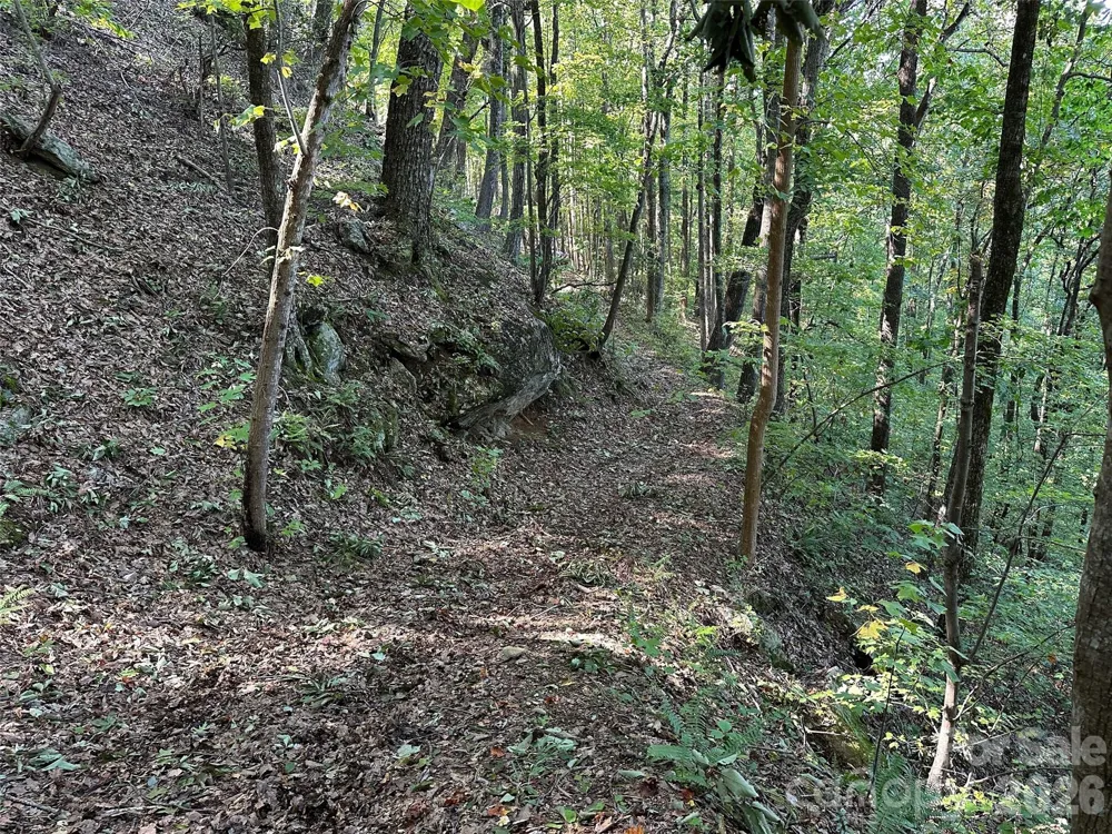 0 Hildebran Mountain Avenue Connelly Springs, NC 28612