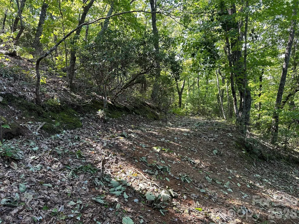 0 Hildebran Mountain Avenue Connelly Springs, NC 28612