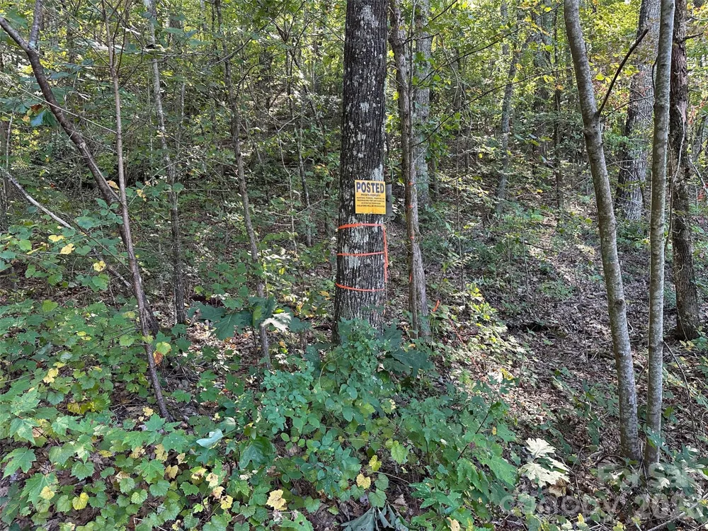 0 Hildebran Mountain Avenue Connelly Springs, NC 28612