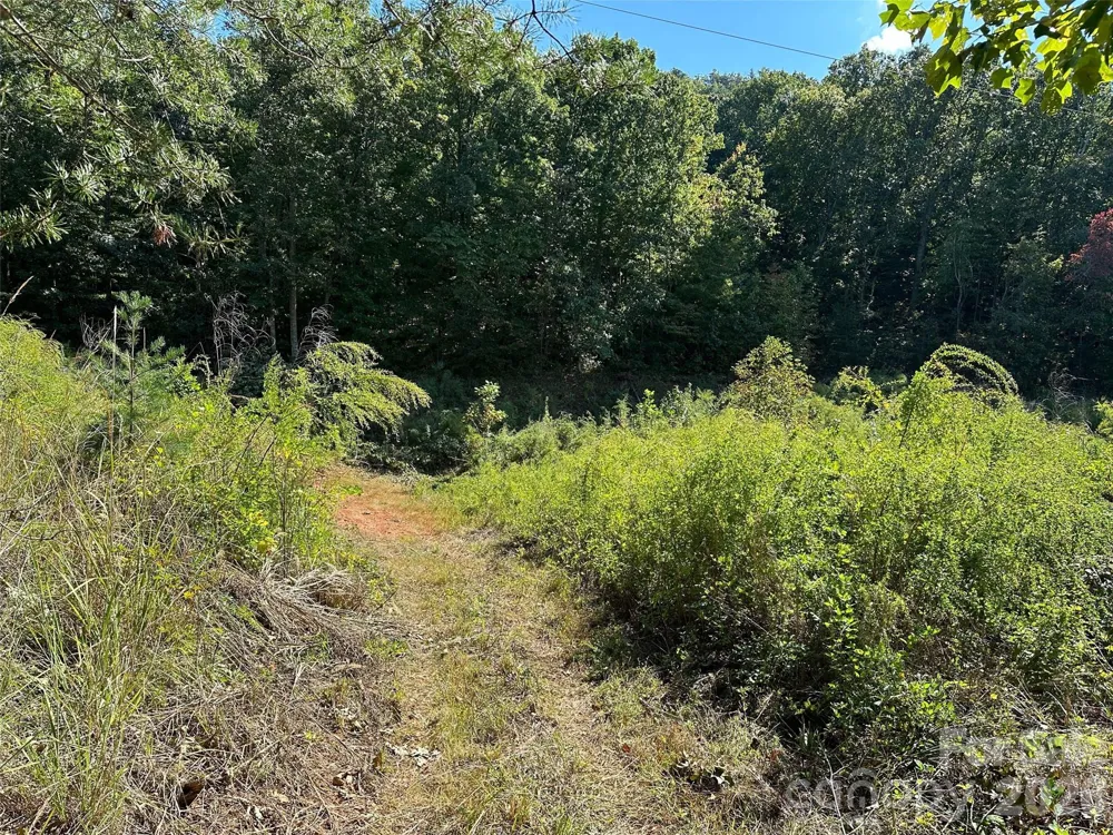 0 Hildebran Mountain Avenue Connelly Springs, NC 28612