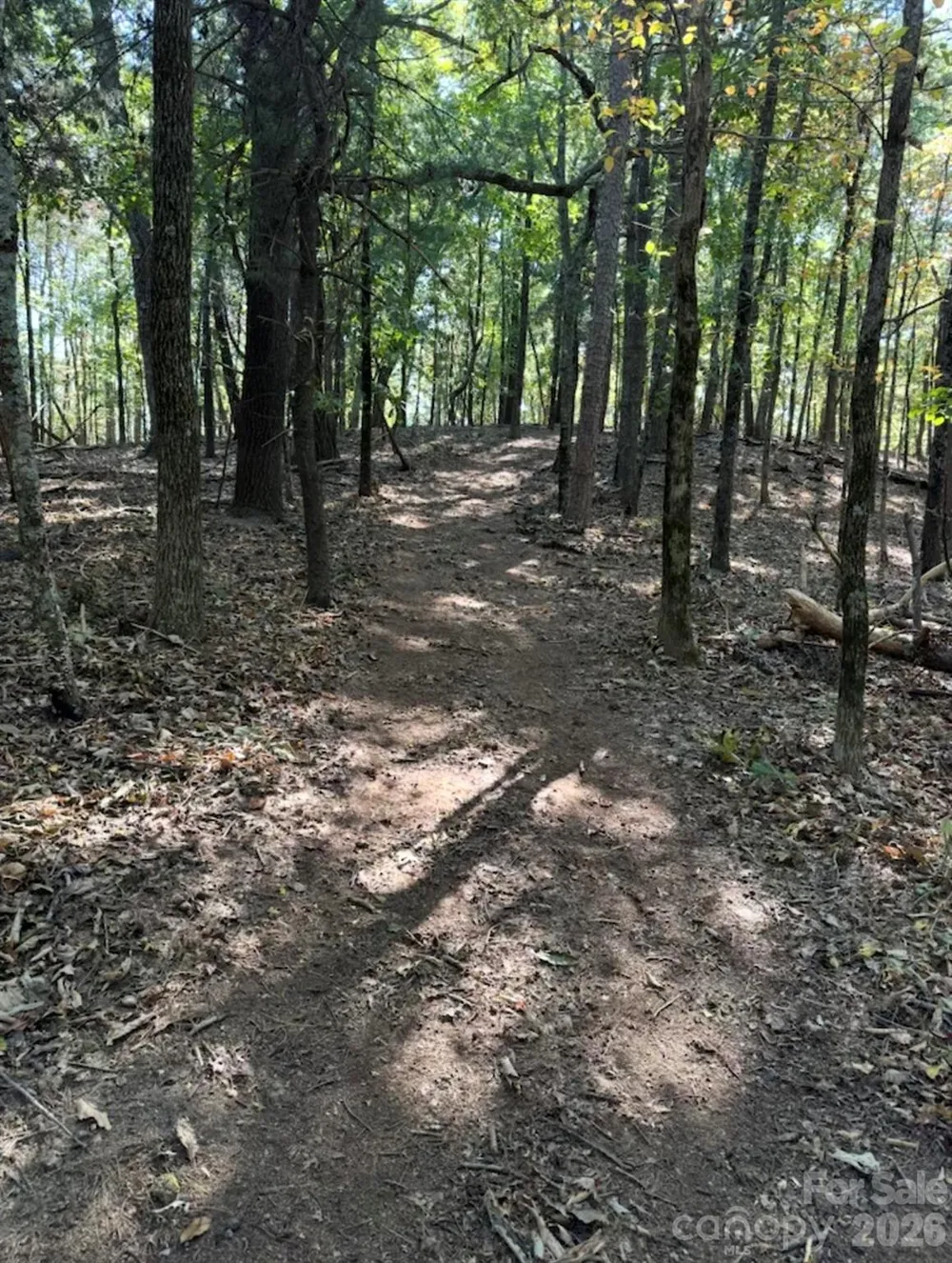 0 Hildebran Mountain Avenue Connelly Springs, NC 28612