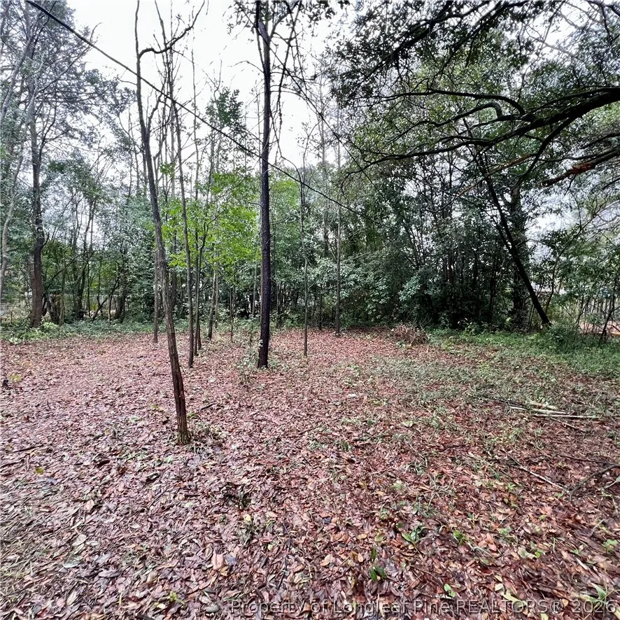 1005 S Pine Street Laurinburg, NC 28352