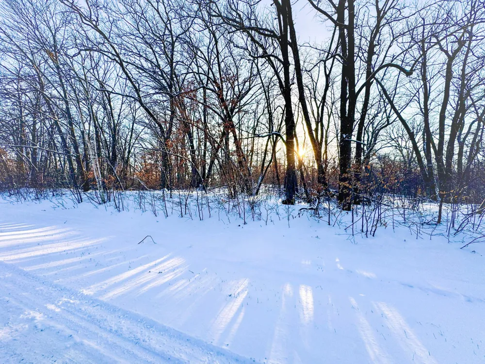 XXXXX German Lake Road Underwood, MN 56586