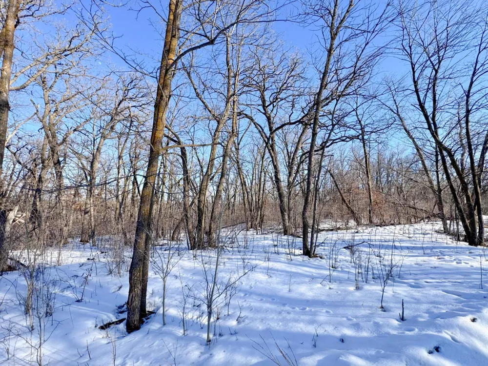 XXXXX German Lake Road Underwood, MN 56586