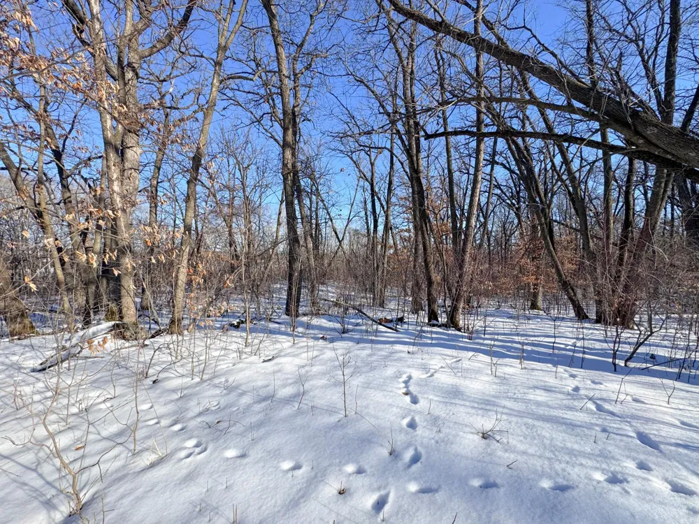 XXXXX German Lake Road Underwood, MN 56586