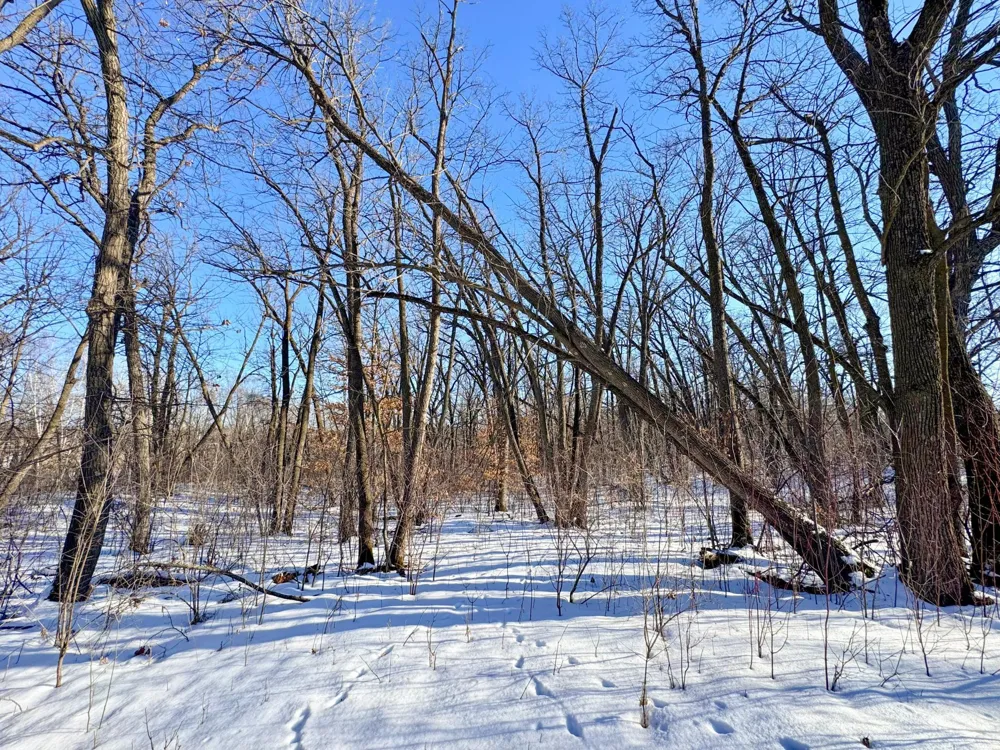 XXXXX German Lake Road Underwood, MN 56586