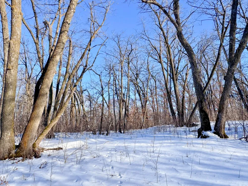 XXXXX German Lake Road Underwood, MN 56586