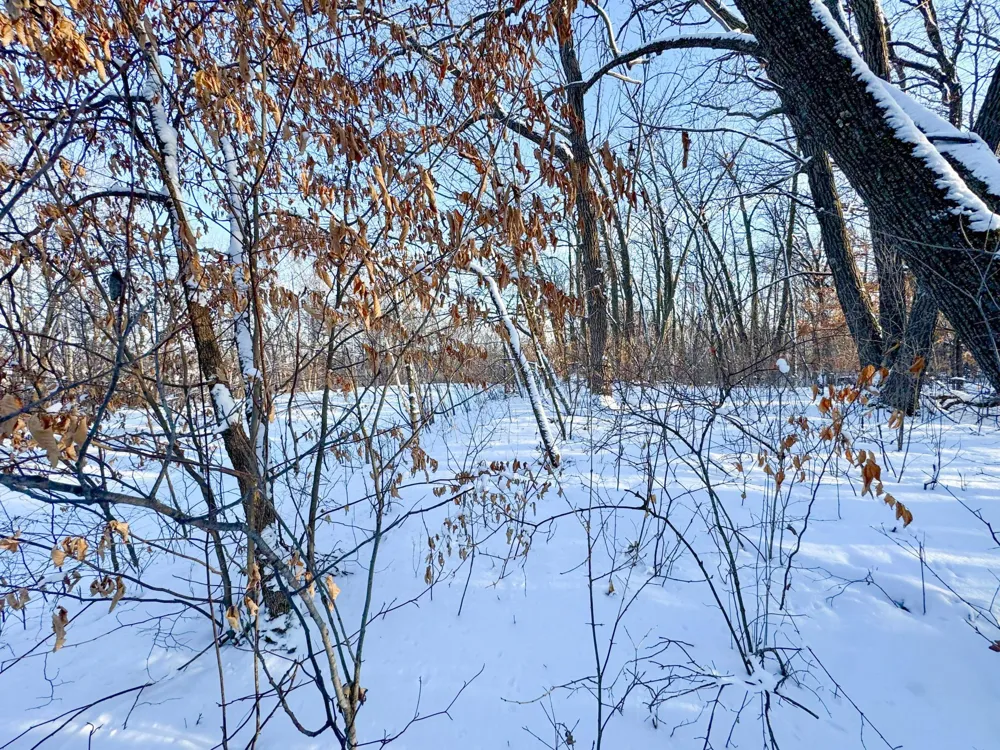 XXXXX German Lake Road Underwood, MN 56586