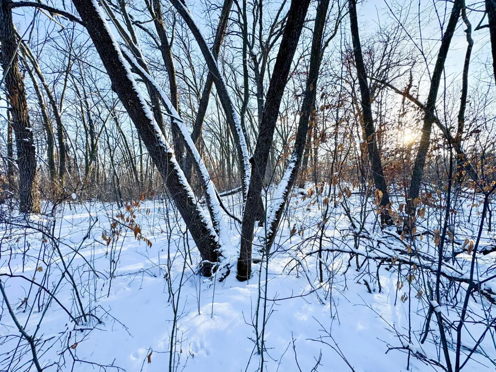 XXXXX German Lake Road Underwood, MN 56586